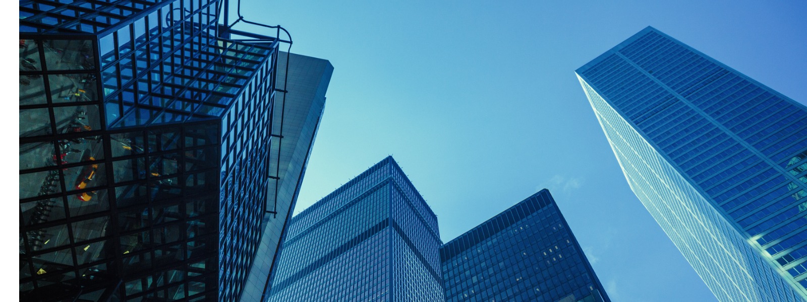 Meu CNPJ aparece na internet: como remover ou reduzir a exposição